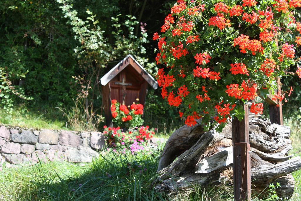 Ferienbauernhof Masunerhof Fie allo Sciliar Bagian luar foto