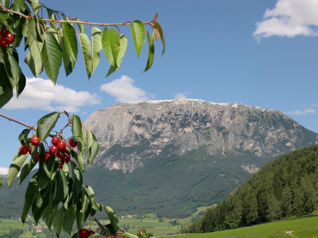 Ferienbauernhof Masunerhof Fie allo Sciliar Ruang foto